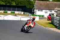 enduro-digital-images;event-digital-images;eventdigitalimages;mallory-park;mallory-park-photographs;mallory-park-trackday;mallory-park-trackday-photographs;no-limits-trackdays;peter-wileman-photography;racing-digital-images;trackday-digital-images;trackday-photos